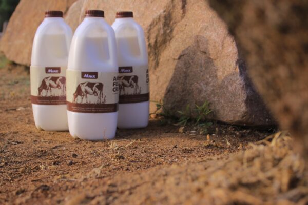 Full Cream Amasi 1L - Image 4